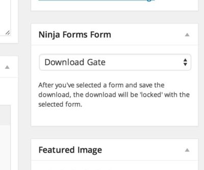 Download Monitor Ninja Forms Lock - TheDevKit