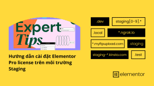 Hướng dẫn cài đặt Elementor Pro license trên môi trường Staging